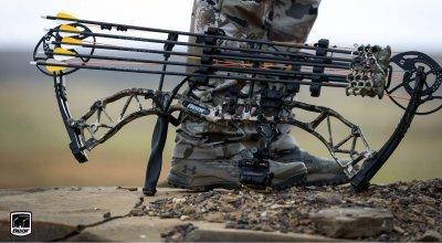 Types of Bows—A Complete Guide